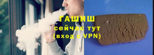 индика Богородицк